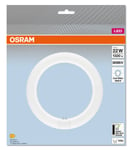 LED loistelamppu T9 G10Q 11 W Osram SubstiTUBE 312 mm