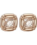 Swarovski Ladies Dulcis Earrings