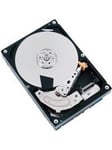 Promise Pegasus J2i - Harddisk - F40PDJ200000002