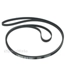 PROLINE CDEP70-E SLP110V VDMP65-E SLP108V VDEP65-E Tumble Dryer Drive Belt NEW