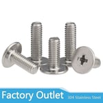 10/25 st cm m2 m2.5 m3 m4 m5 m6 a2 304 rostfritt stål kors phillips ultratunn superlåg platt wafer huvudskruvbult för bärbar dator (FMY) M3*25 25pcs