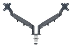 Leitz Ergo - Monteringssats (Spring-Assisted Dual Arm) - För 2 Lcd-Bildskärmar - Space Saving - Metall - Mörkgrå - Skärmstorlek: 17"-32"