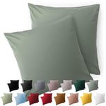 Blumtal Taie Oreiller 60x60 Lot de 2 - Housse de Coussin Microfibre - Taies d'oreillers avec Fermeture enveloppe, certifiée Oeko-Tex, Extra Douce et Lavable - Vert d'été