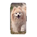 Hund Pomeranian Samsung Galaxy A36 Flip Mobilfodral