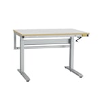 ESD-arbetsbord ErgoNomi 1200x800mm grå matta