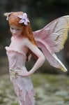 15544  FIGURINE MIGNONNE  FEE ROSE   ELFE SEXY GOTHIQUE HEROIC FANTASY