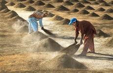 Farm Workers Poster, Storlek 21x30 cm 21x30 cm