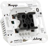 Kopp Smart Control 833304025 Interrupteur Intelligent Hybride 2 canaux 4 Fils avec Prise à Bascule pour Kopp et différents Fabricants d'interrupteurs, Smart Home, Amazon Alexa, Google Home