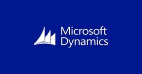 Microsoft Dynamics CRM Online Professional Add-on to Office 365 - abonnementslisens (1 måned) - 1 bruker