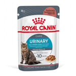 Royal Canin Urinary Care kastikkeessa - 48 x 85 g