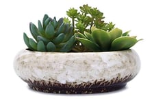 VanEnjoy Pot de Fleurs Rond en céramique émaillée avec Trou de Drainage, pour bonsaï, décoration de Jardin, Cactus Chinois Blanc