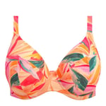 Sancho Beach Plunge Bikini Bh Mango, Elomi Swim