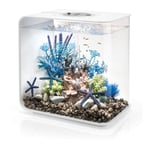 Oase - Aquarium décoratif 30l mcr avec cadre blanc Flow30MCR white