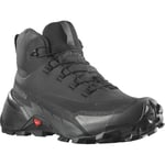 Boots Salomon  Cross Hike 2 Gore-Tex