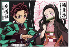 Demon Slayer Tanjiro & Nezuko Standard Magnet