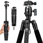 Camera Tripod,Compact Carbon Trepied-Traveler 5CX,Trépied de Voyage léger à 5 Sections,Hauteur de Pliage 32cm,Rotule 360°,Plaque de Fixation Rapide Arca de Suisse,Capacité de Charge 6kg