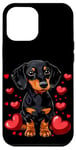 Coque pour iPhone 12 Pro Max Coeurs de teckel pour la Saint-Valentin