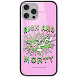 ERT GROUP Coque de téléphone Portable pour Apple Iphone 13 Original et sous Licence Officielle Rick and Morty Motif Rick & Morty 024 en Verre trempé, Coque de Protection