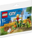 LEGO 30590 Farm Garden and Scarecrow Polybag