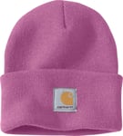 Carhartt Men's Watch Hat Thistle, OneSize