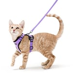 rabbitgoo Harnais Chat Anti évasion avec Laisse Violet Clair S, Harnais Chaton Petit Chien Réglable, Collier Harnais et Laisses pour Chat Refléchissant Attache Dessus Gilet Respirant pour Lapin Chiot