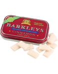 Barkleys Sugarfree Cinnamon Intense Chewing Gum - Sockerfri Tuggummi