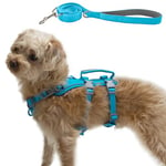 Wuffley Escape Proof Dog Harness and Leash Set, Lightweight Dog Harness with Lift and Assist Handle, No Pull Reflective Pet Vest for Small Medium Dogs, Ideal for Puppy Walking and Training (Blue, XS)