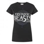 Fantastic Beasts And Where To Find Them Womens/Ladies Logo T-Shirt - Medium