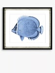 Brookpace Lascelles 'Blue Fish 4' Framed Print & Mount, 36 x 46cm, Blue