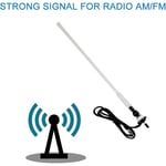 Herdio Marine Radio Antenn Vattentät Am Fm Antenn Ip66 Bilmottagare Flexibel Gummi Duck Antenn För Bil Lastbil Båt Skåpbil Husvagn Husbil Yacht Vit