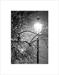 Wee Blue Coo Lonely Street Lamp Winter Night Black White Wall Art Print