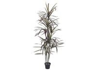 Dracaena green-red artificial 180cm