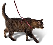 PetSafe Harnais pour Chats Easy Walk avec Laisse élastique - Promenade en Toute sécurité - Taille réglable - Moyen (M), Rouge