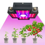 Lampe de Croissance LED Horticole 1200W - Spectre Complet - VEG & BLOOM - Marque GOBRO