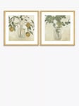 John Lewis Emma Scarvey 'Still Life II' Framed Print & Mount, Set of 2, 61.5 x 61.5cm, Green/Multi