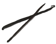 Vanilla Pods - Madagascar 16cm x 2 - SPICESontheWEB