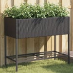 Design In - Jardinière Pot de Fleurs avec étagère noir résine tressée CFW21050