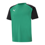 teamPACER Jersey, treningsgenser herre