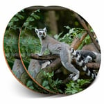 2 x Coasters - Cool Tailed Lemur Madagascar Home Gift #12667