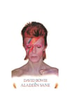 Aladdin Sane Poster