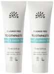 Urtekram Mint With Green Tea Toothpaste 75ml (Pack of 2) - Vegan