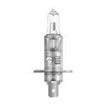 Osram Truckstar Pro H1 24V