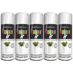 5X Brilliant White Gloss Spray Paint Aerosol Auto Car Lacquer Wood Metal 400ml