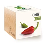 Feel Green 296237 Ecocube Chili, certifié Bio, idée Cadeau Durable (100% Eco Friendly), kit de Culture, Plantes dans Un Cube en Bois, fabriqué en Autriche