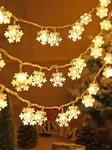 Fairy Lights, 6M 40LED Christmas Snowflake Lights USB ja Bat