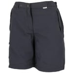 Short Trekking Randonnée Regatta Chaska Short Ii Anth L Gris Anthracite Foncé