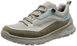 ECCO Femme ULT-trn W Chaussures d'extérieur, Sage Gravel, 42 EU