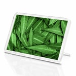 1 x Eucalyptus Leaves Nature Green Plant Classic Fridge Magnet Kitchen #3260