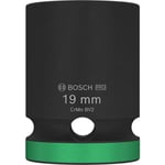 Bosch slagtopp, 1/2&quot;, 19 mm