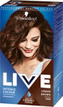 6 X Schwarzkopf Live Intense Colour 088 Urban Brown 